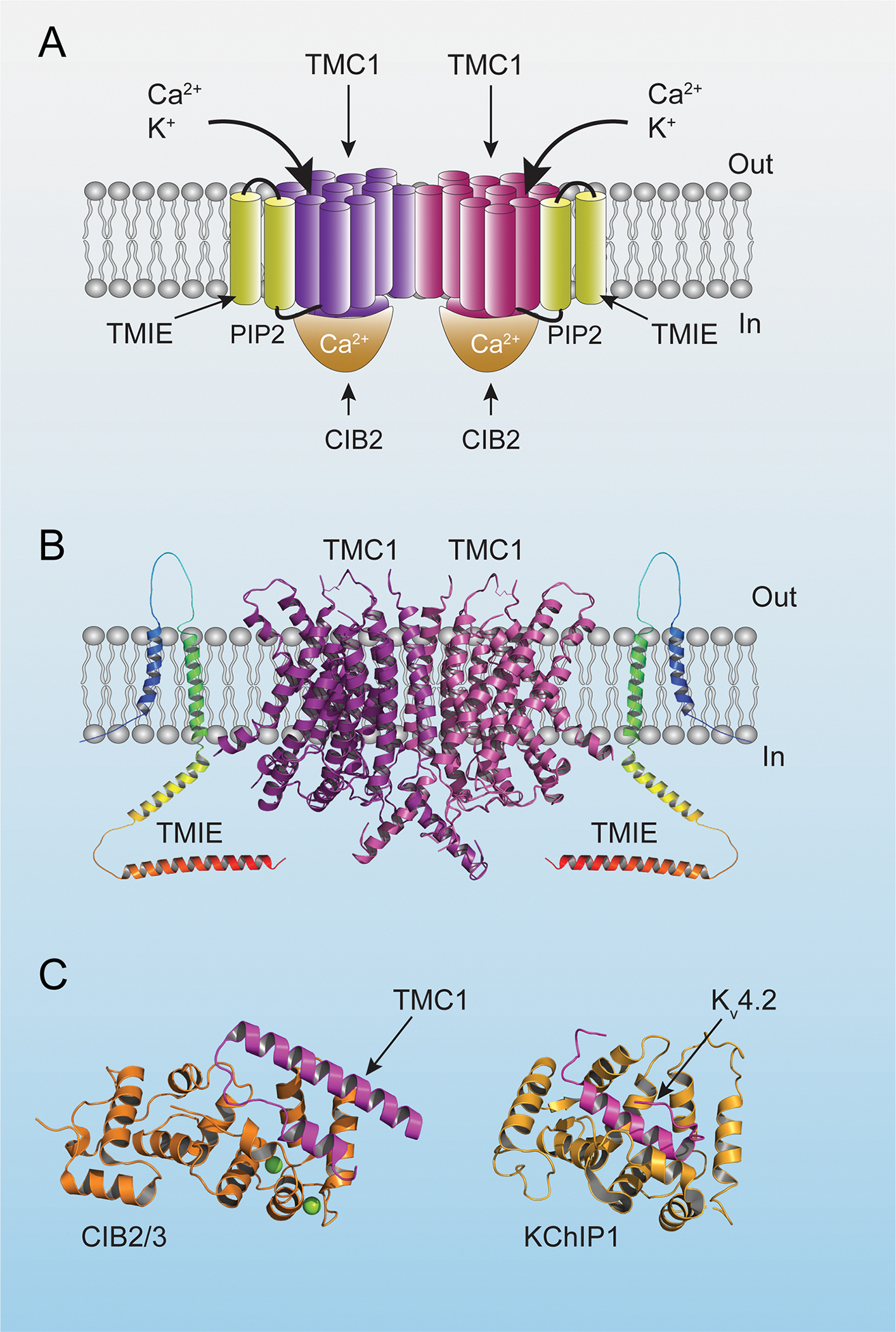 Figure 4.