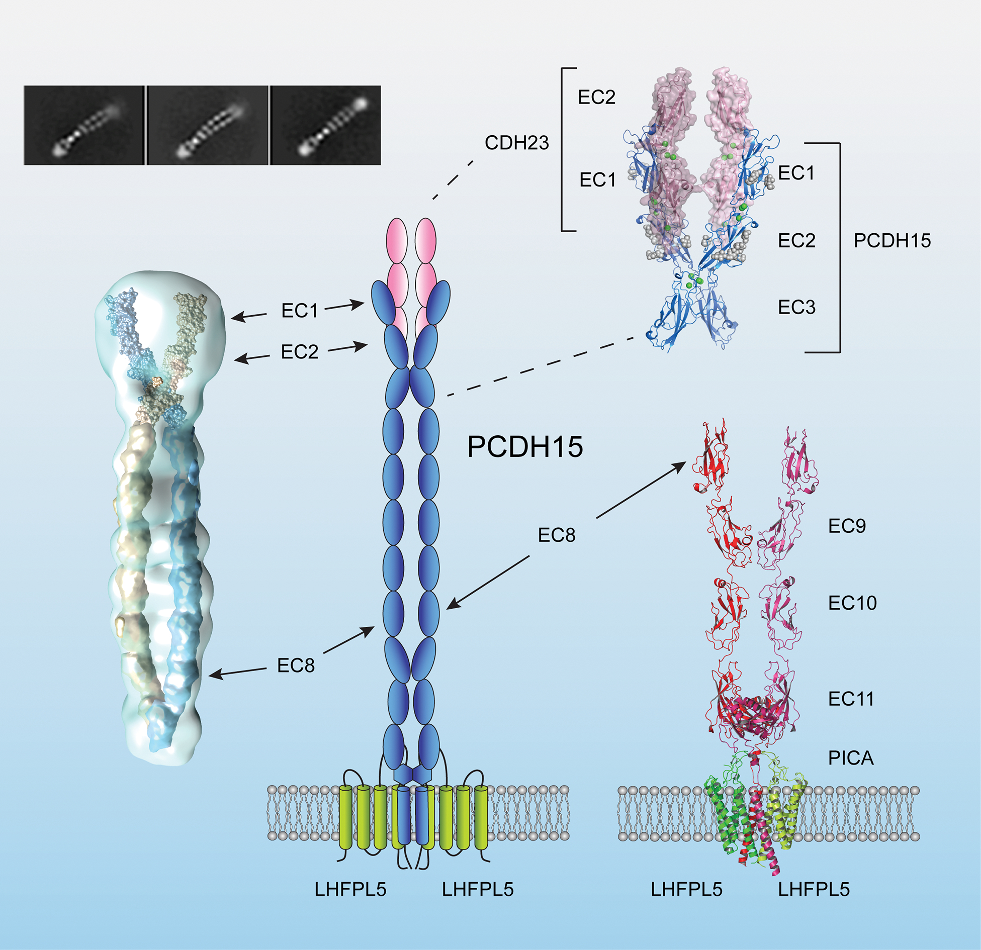 Figure 3.