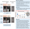 Graphical Abstract
