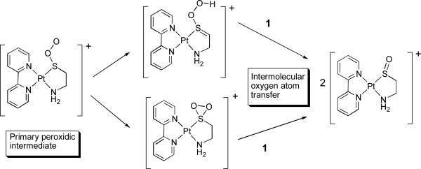 Scheme 2