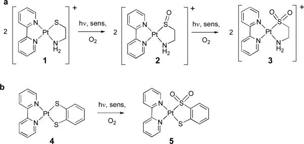 Scheme 1