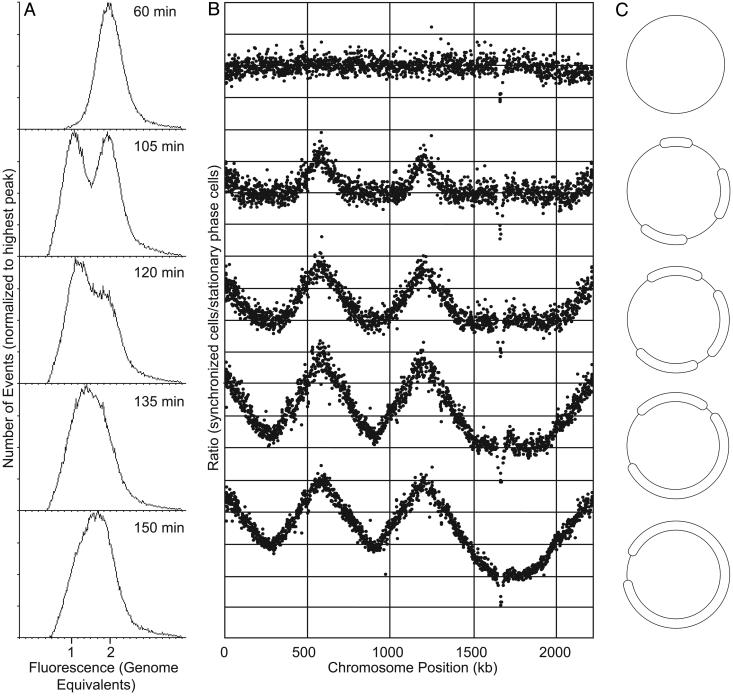 Fig. 4.