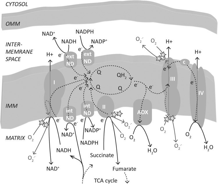 FIG. 7.