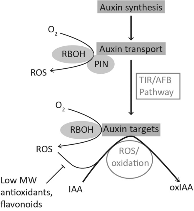 FIG. 3.