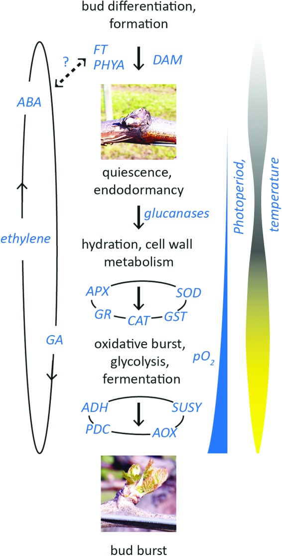 FIG. 8.