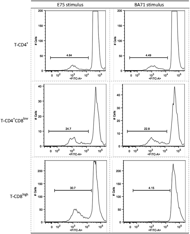 Figure 10