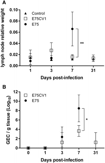 Figure 5