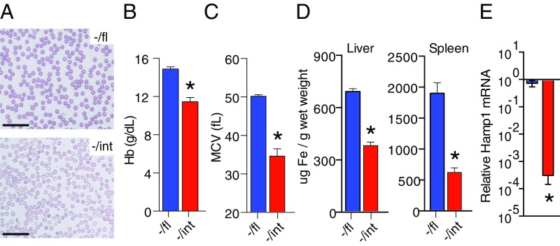 Fig. 2.