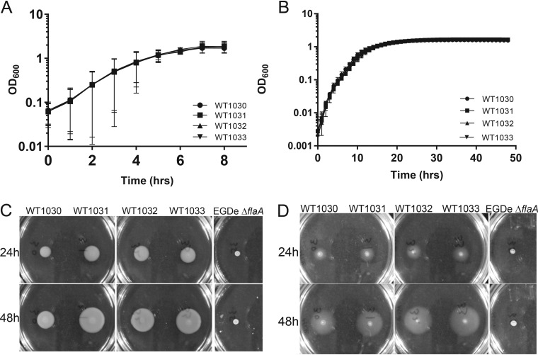 FIG 1