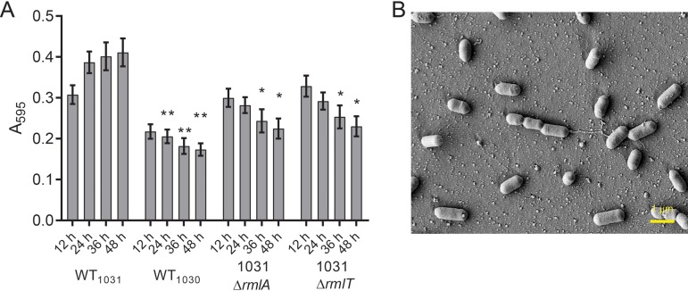 FIG 6