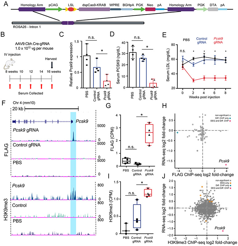 Figure 3: