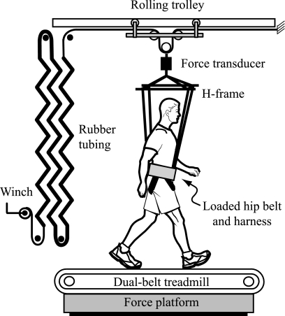 Fig. 1.