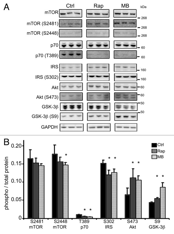 Figure 7. 