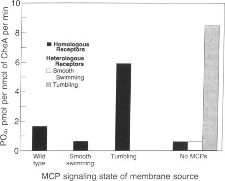 graphic file with name pnas01064-0342-a.jpg