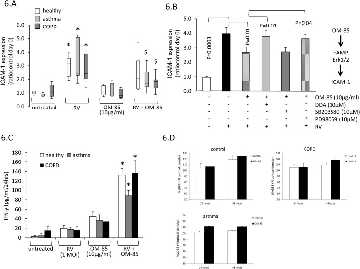 Fig 6