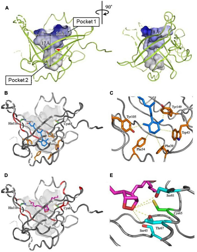 FIGURE 3