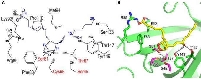 FIGURE 4