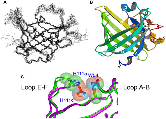 FIGURE 2