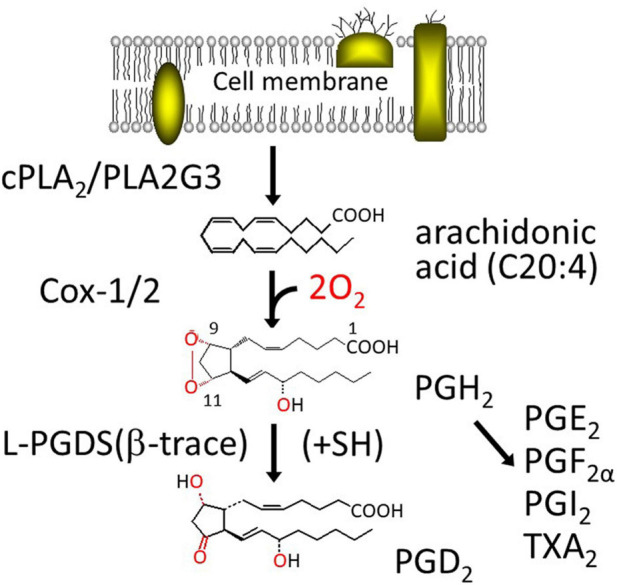 FIGURE 1