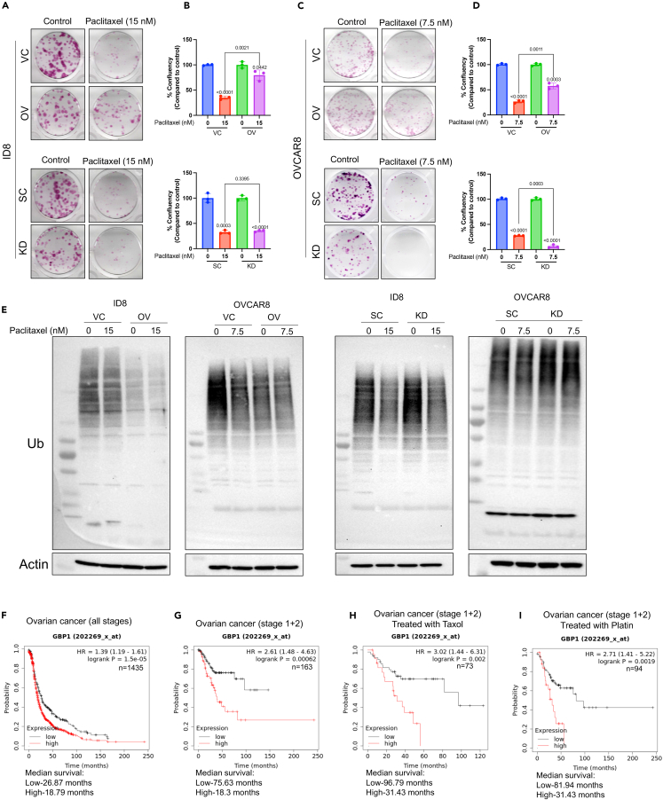 Figure 6