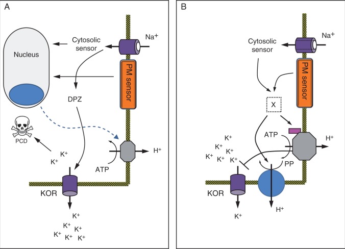 Fig. 10.