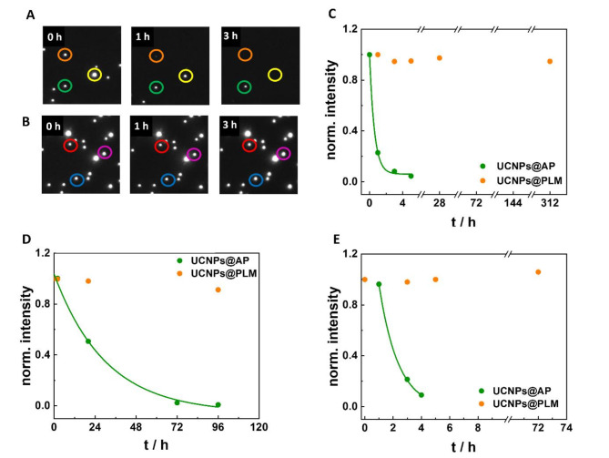 Fig. 4