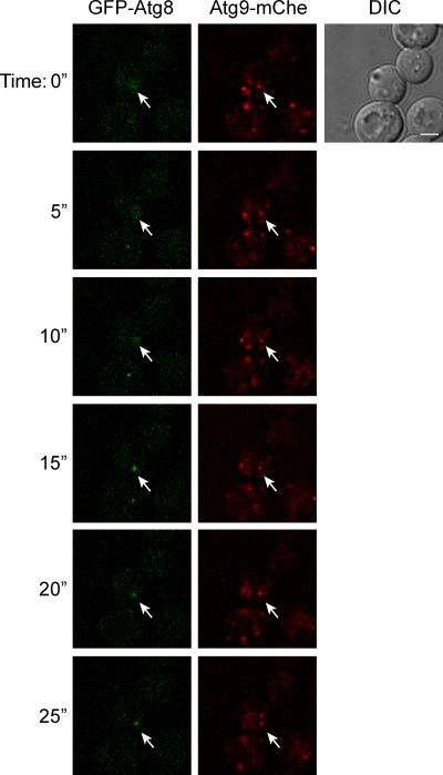 Figure 9.