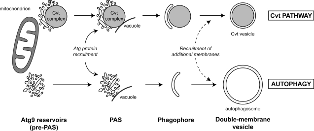 Figure 10.