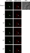 Figure 9.