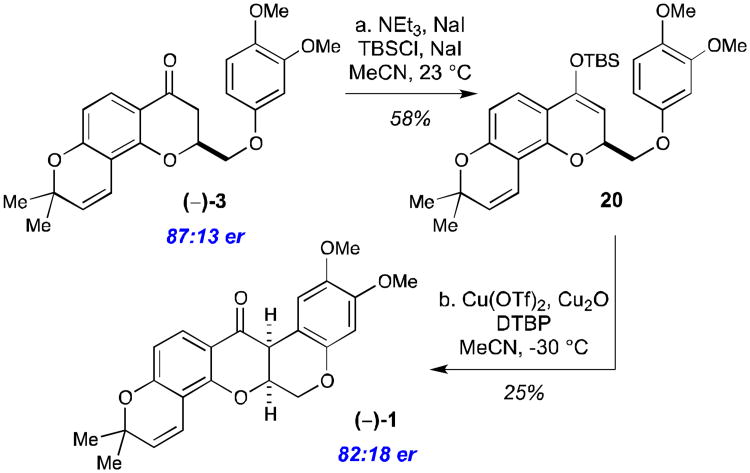 Scheme 5