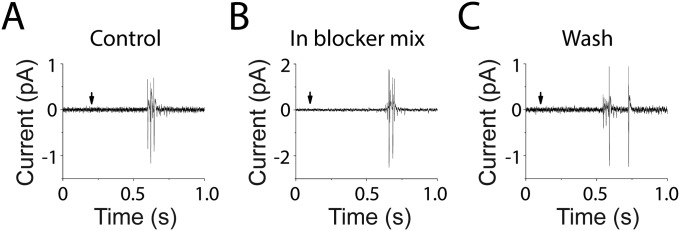 Fig. S1.