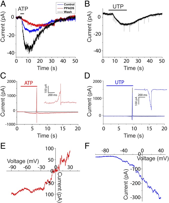 Fig. 3.