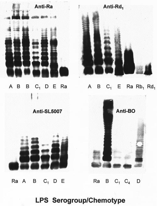 FIG. 5