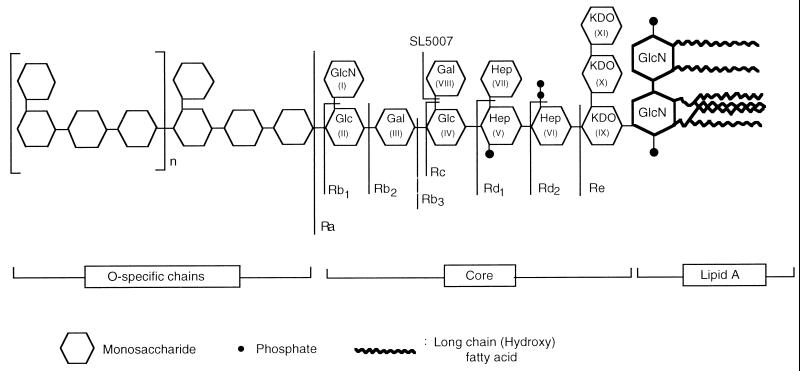 FIG. 1