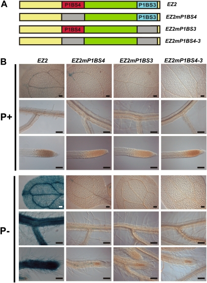 Fig. 6.