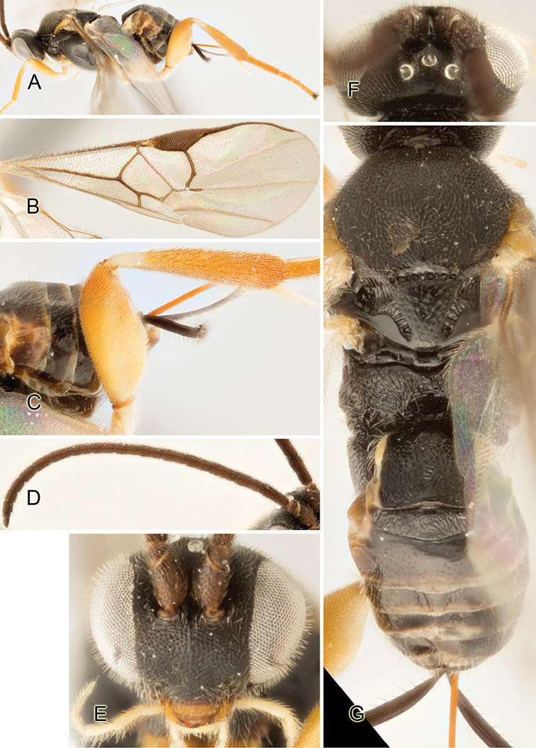 Figure 103.