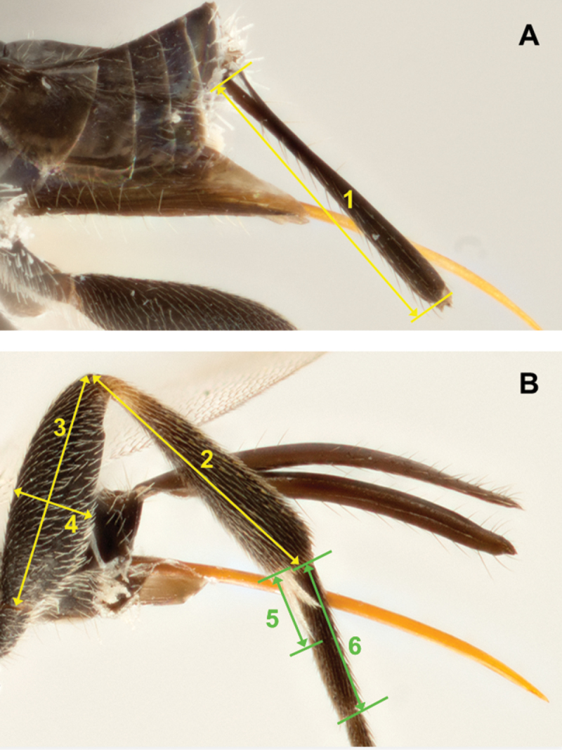 Figure 209.