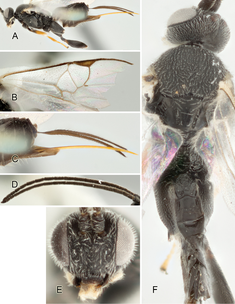 Figure 44.