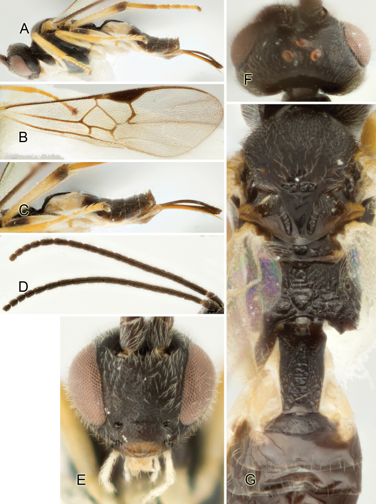 Figure 159.