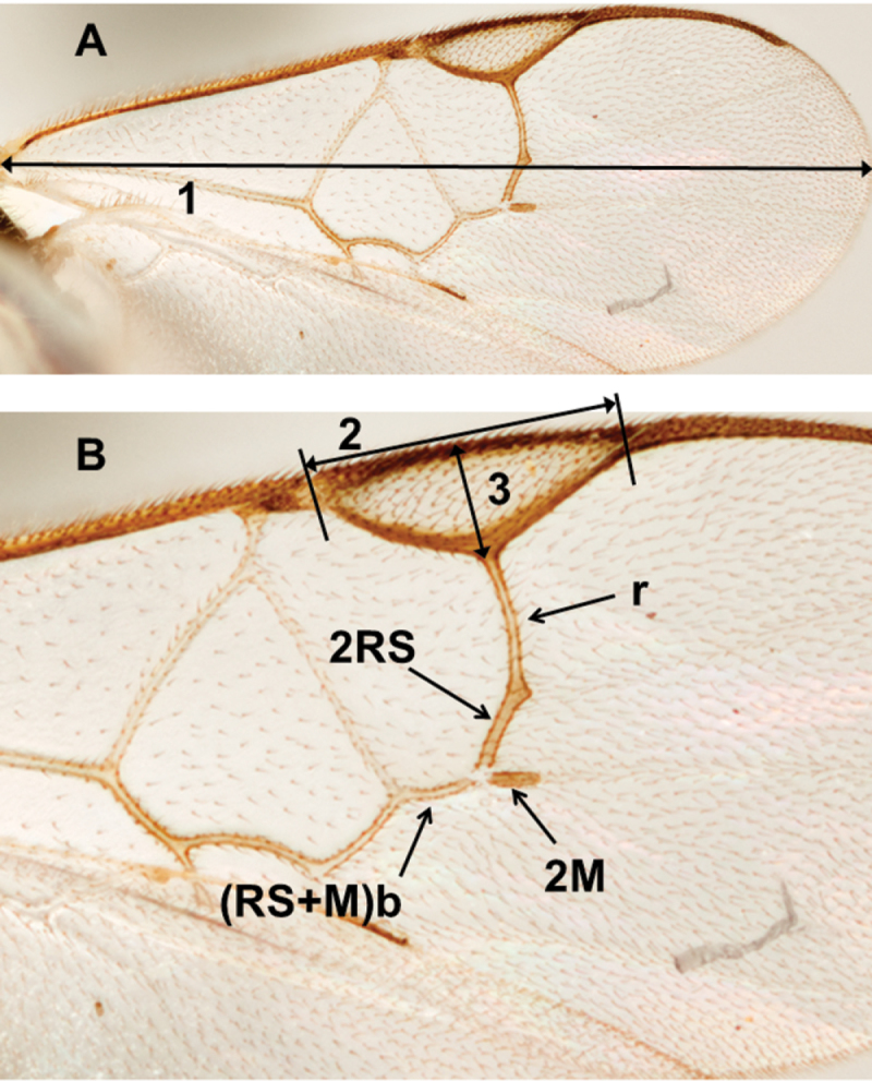 Figure 208.