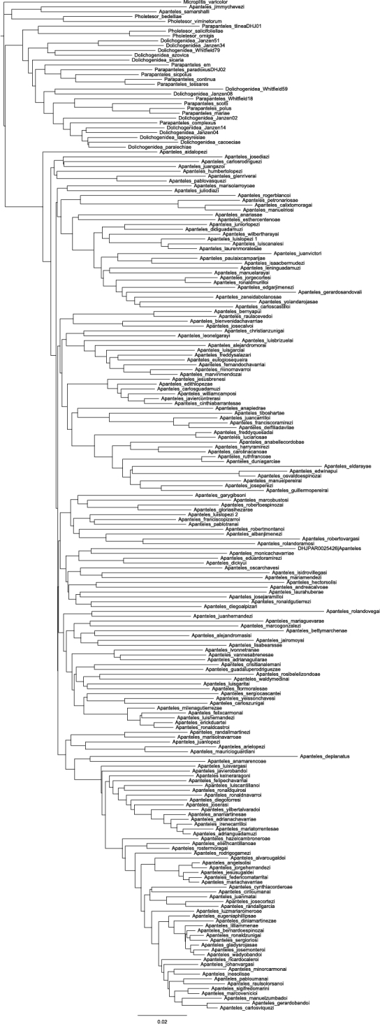 Figure 2.