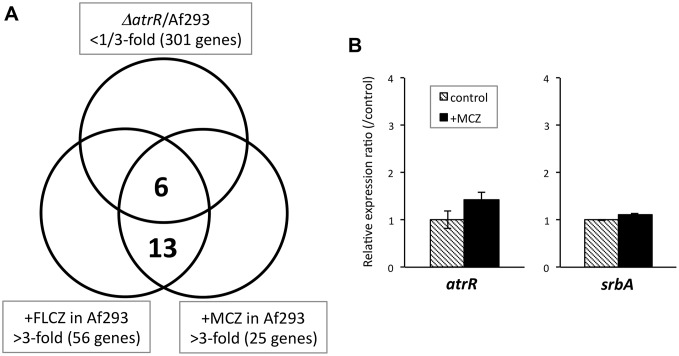 Fig 7