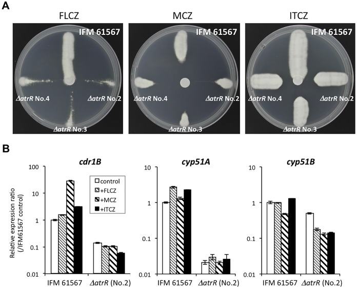 Fig 10