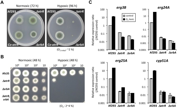 Fig 5