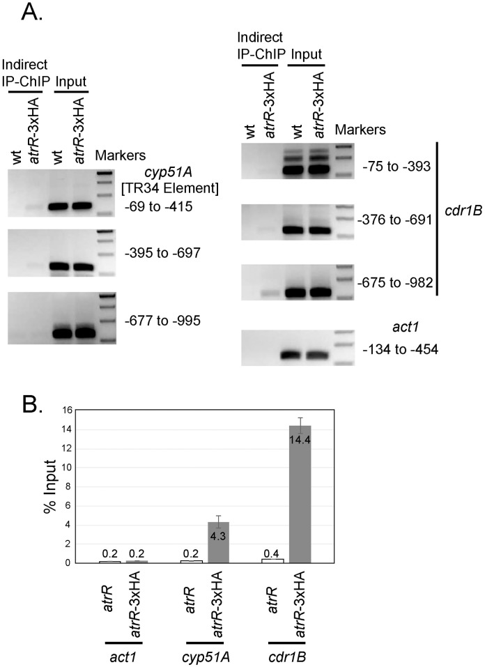 Fig 9