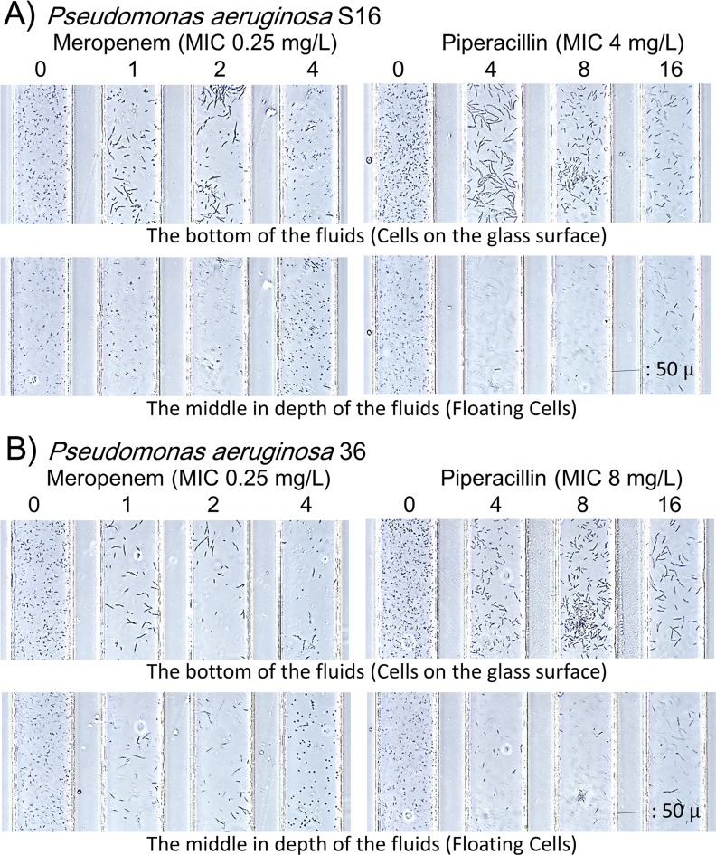 Fig 8