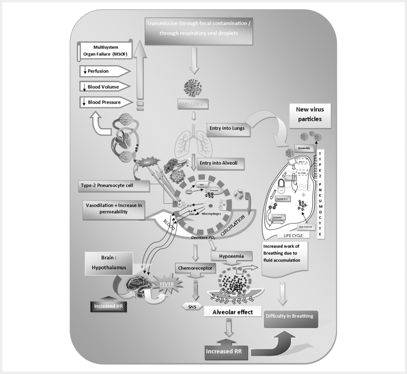 Fig. 2