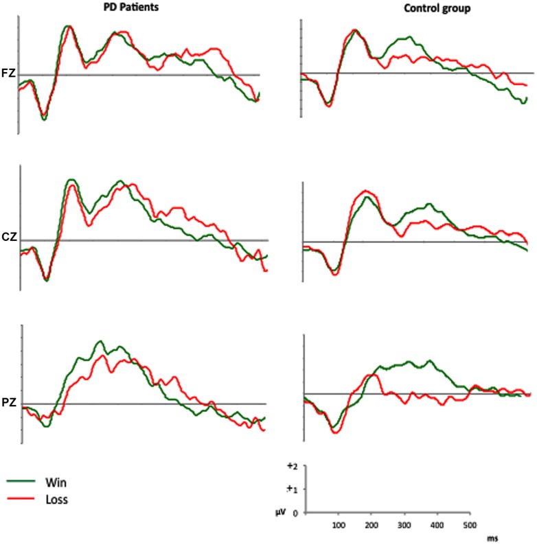 FIGURE 2