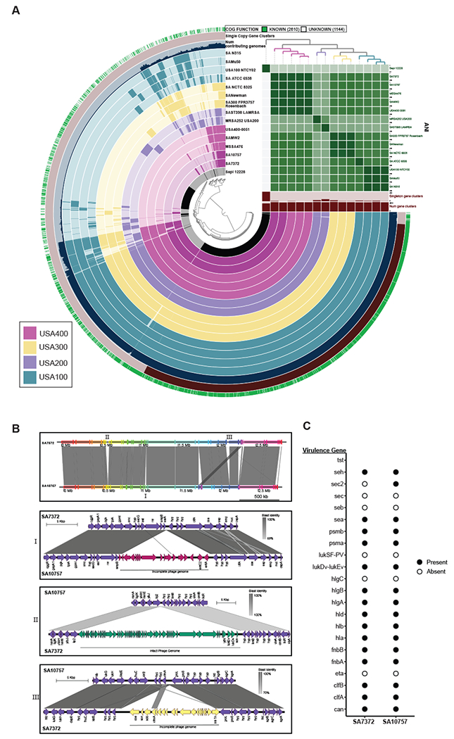 Figure 4: