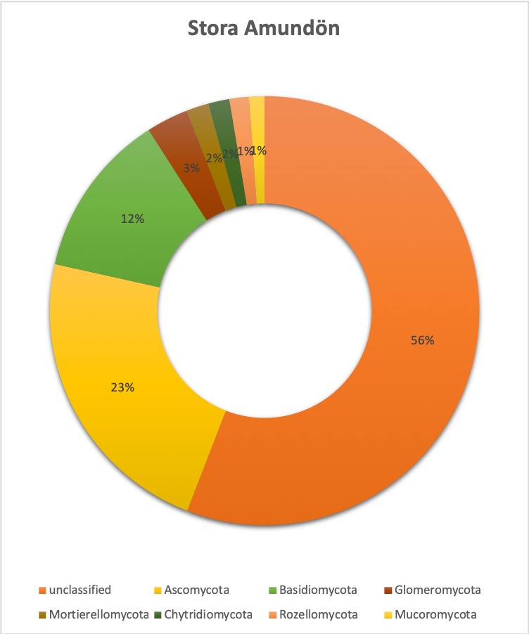 Figure 10.